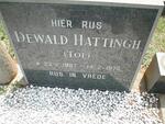 HATTINGH Dewald 1907-1975