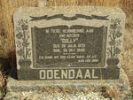 ODENDAAL Colly 1873-1949