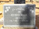 MULLER Hester neé ELS 1876-1960