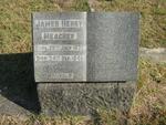 MEAGHER James Henry 1875-1948