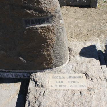 ZIERVOGEL Cecilia Johanna 1878-1965