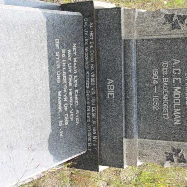MOOLMAN A.C.E. geb BADENHORST 1904-1952