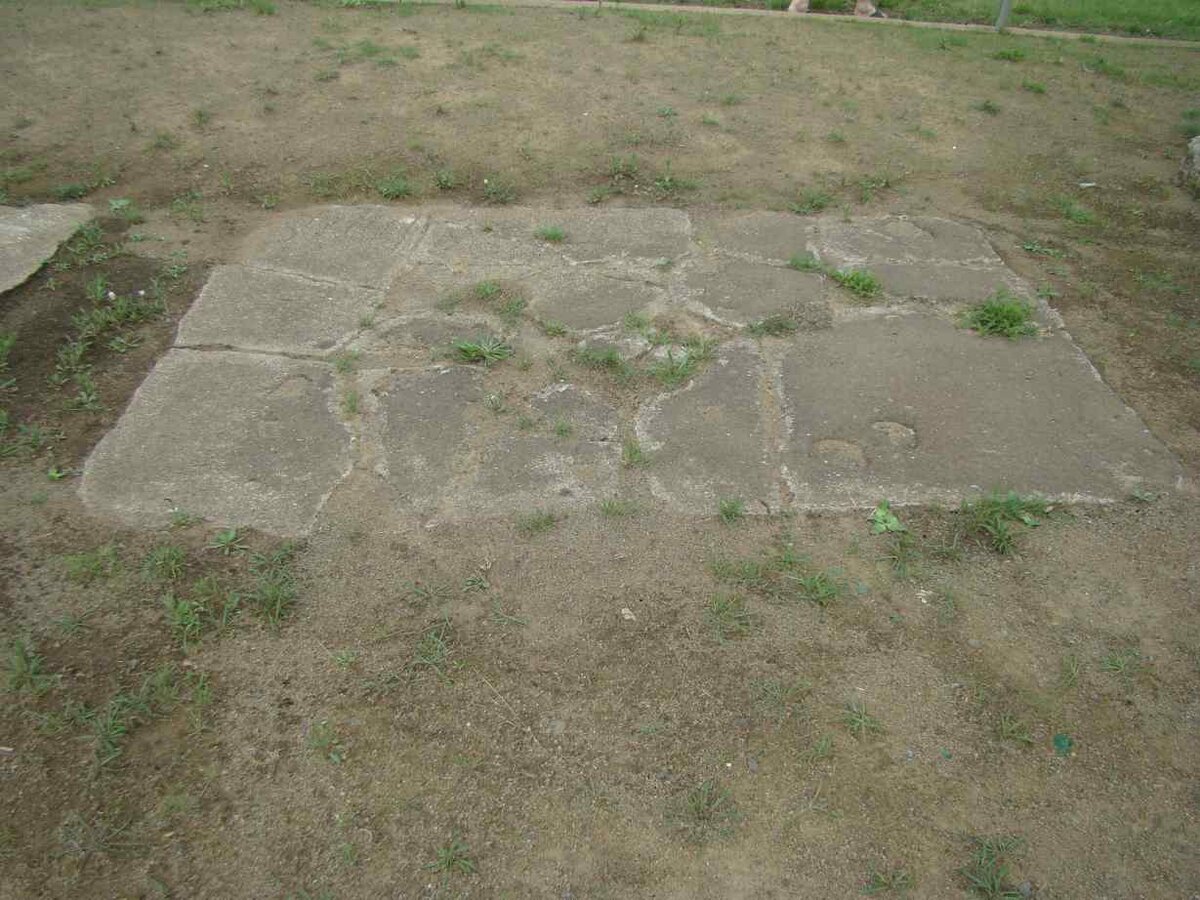 7. Os spore in sement 1938