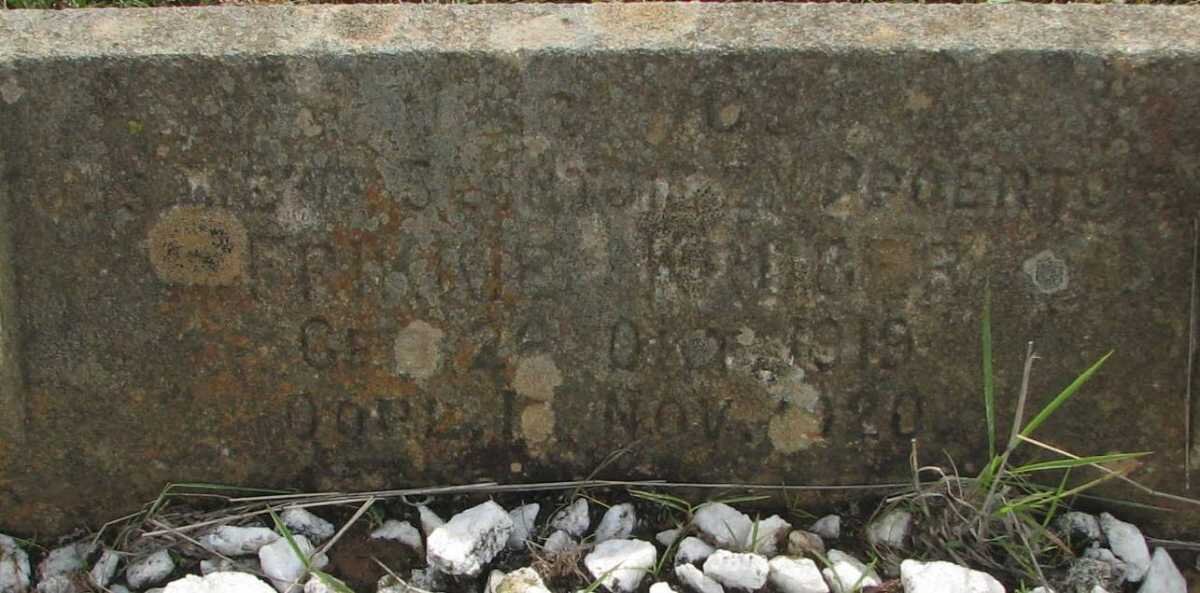 KRUGER Frikkie 1919-1920