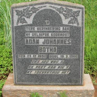 BOTHA Adam Johannes 1890-1950