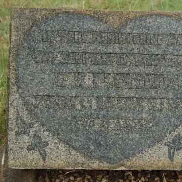 P - Vanne :: Surnames - P