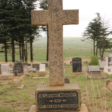 SWAN Frank Norman -1919