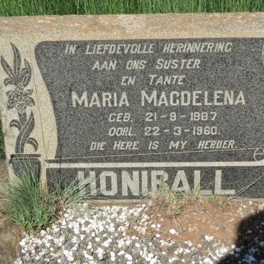 Mpumalanga, BALFOUR district, Spieskloof, Vrisgewaag 501_1, farm cemetery