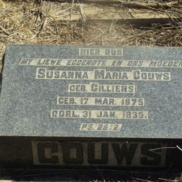Mpumalanga, BALFOUR district, Rural (farm cemeteries)