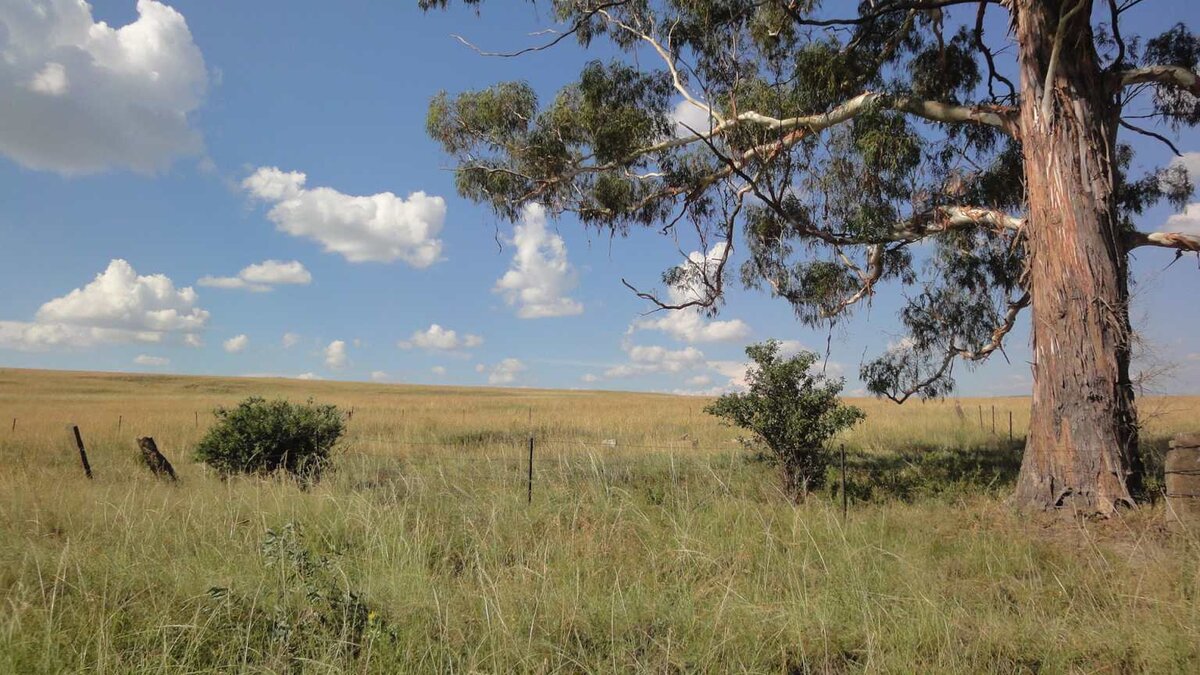 1. Oorsig / Overview - Sig vanaf plaaspad