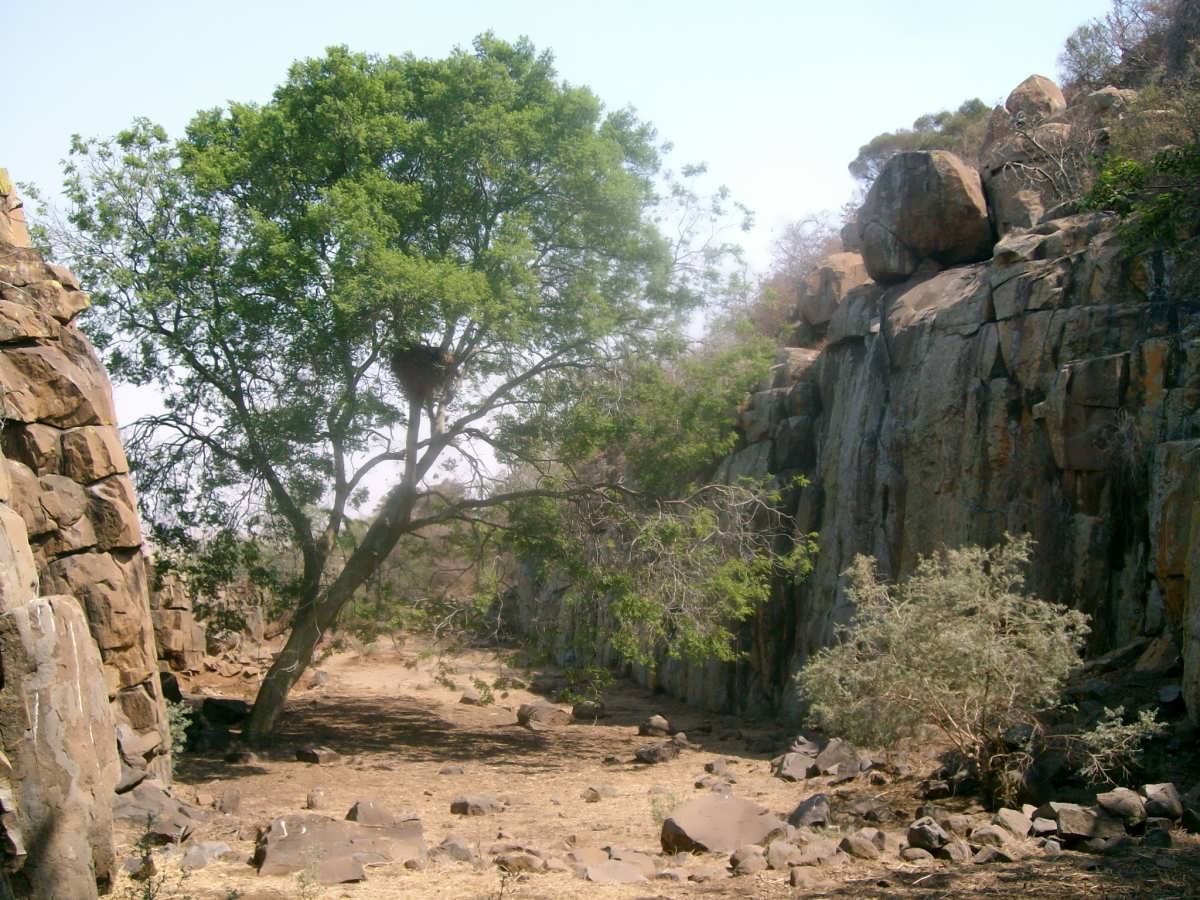 SANYO DIGITAL CAMERA