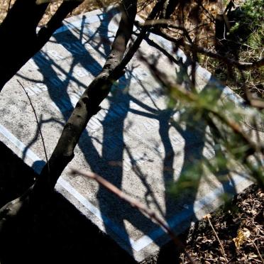 Mpumalanga, BALFOUR district, Hartbeestfontein 638, Hartebeesfontein_1, farm cemetery