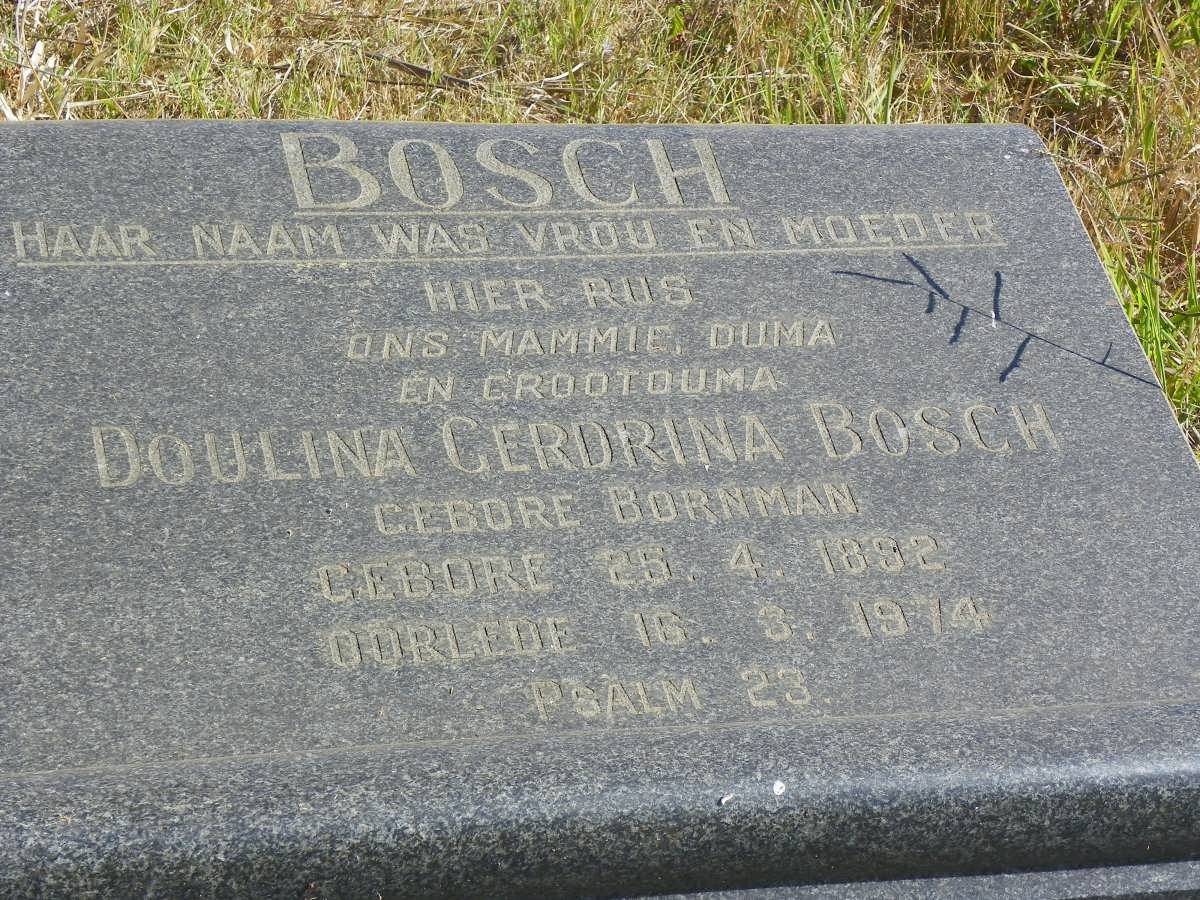 BOSCH Doulina Gerdrina nee BORNMAN 1892-1974