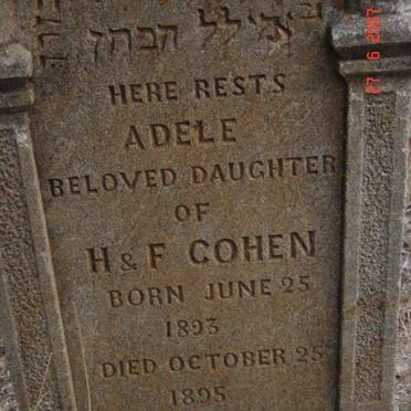 COHEN Adele 1893-1895