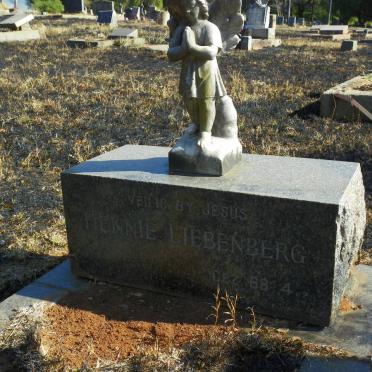 LIEBENBERG Hennie