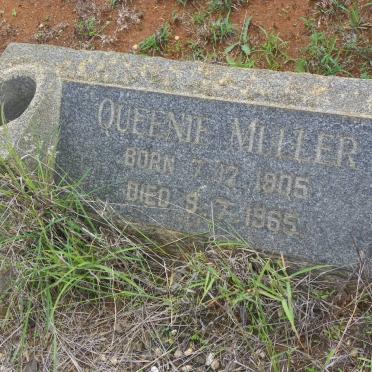 MULLER Queenie 1905-1965