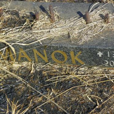 MANOK -2004