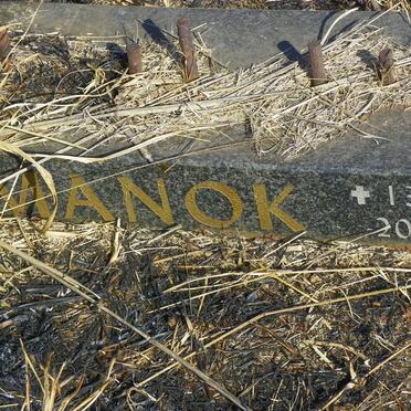 MANOK -2004