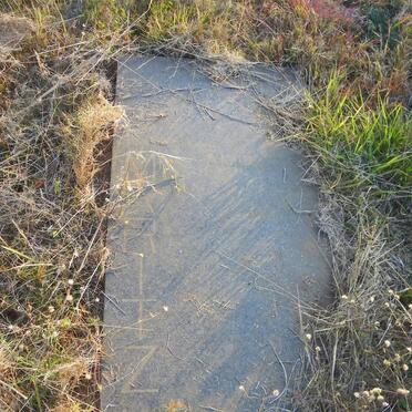 MARITZ Ampie 1946-1990