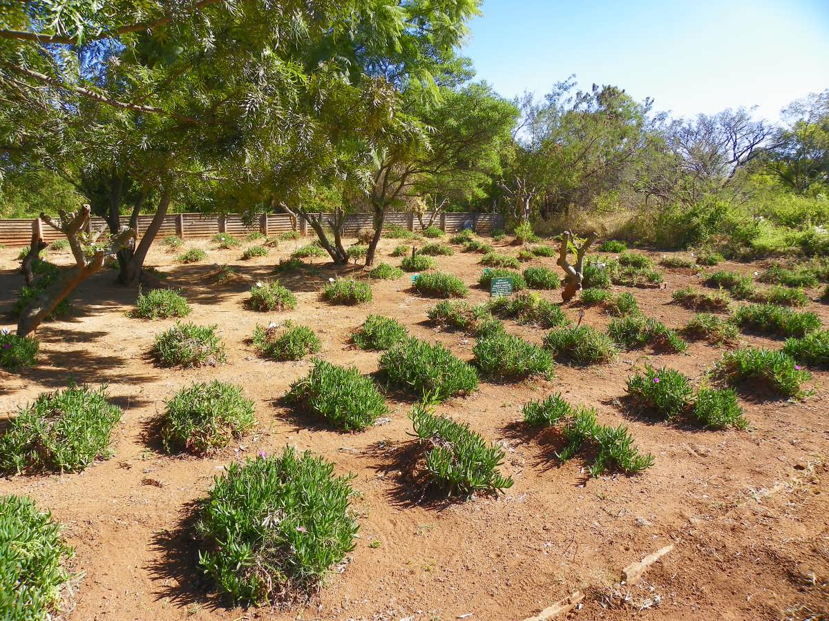 08. Overview Muslim Section