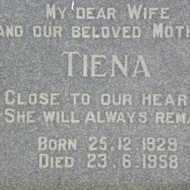 ? Tiena 1929-1958