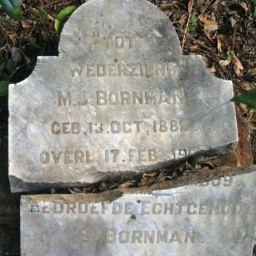 BORNMAN M.J. 1882-1909