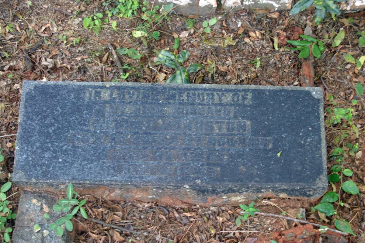 JOHNSTON George -1917