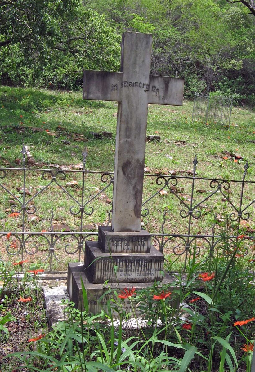 HOLDEN James -1904  :: MILLS Geoffrey Daniel Spurrell -1904