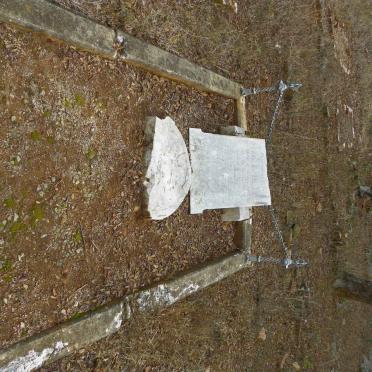 WILSON Charles -1894