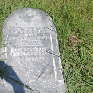 NAUDÈ Susanna Jacoba 1887-1940