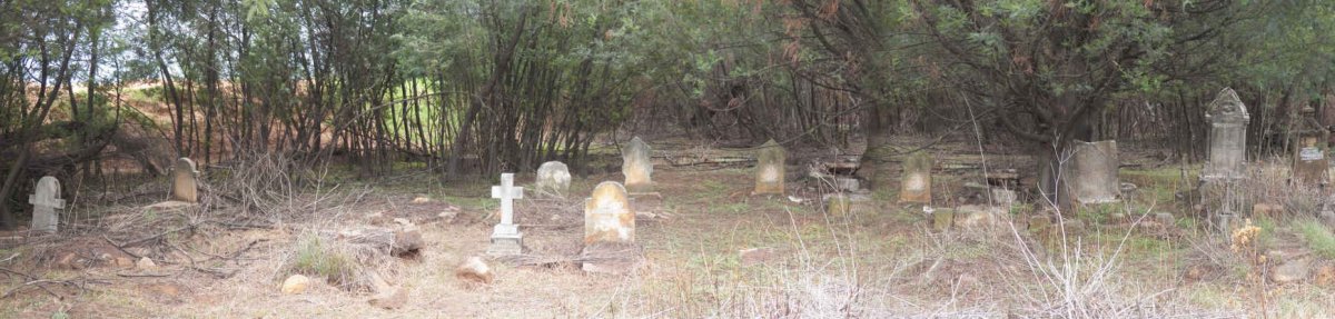 1. Overview of Cemetery