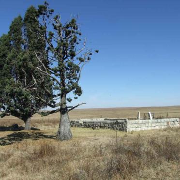 1. Overview on the cemetery