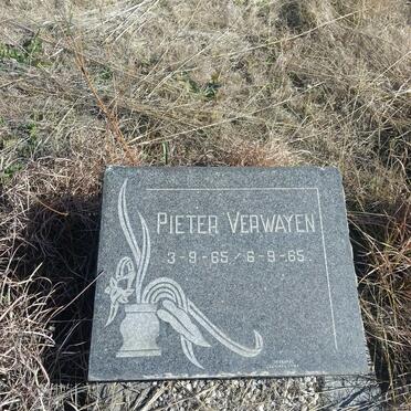 VERWAYEN Pieter 1965-1965