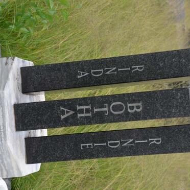 BOTHA Rinda 1966-1983