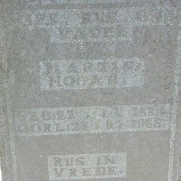 HOGAN Martin 1880-1965