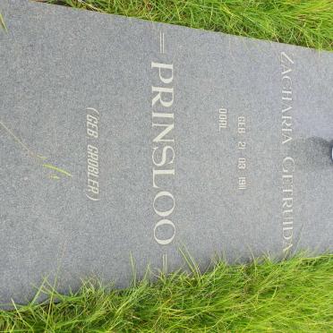 P - Vanne :: Surnames - P