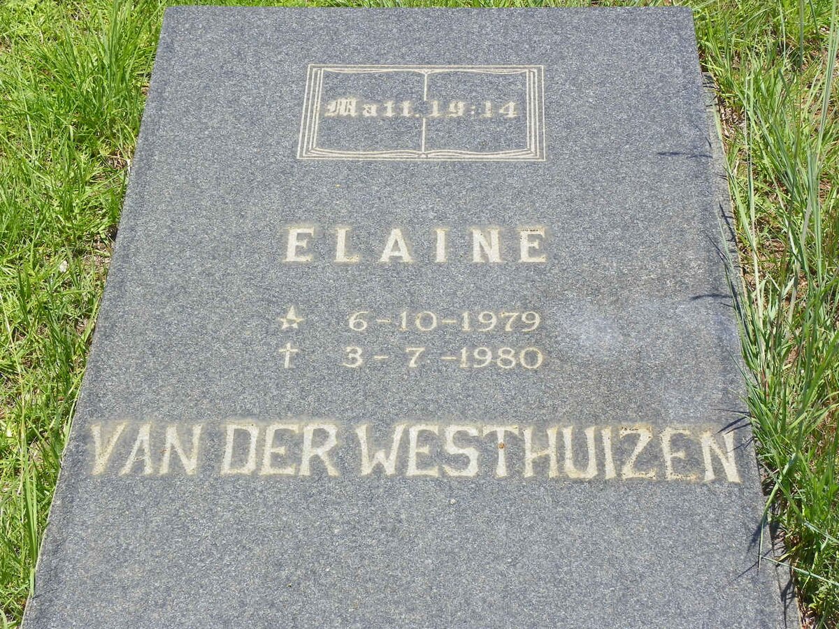 WESTHUIZEN Elaine, van der 1979-1980
