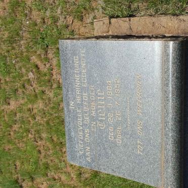 WALT Tienie, van der 1884-1952