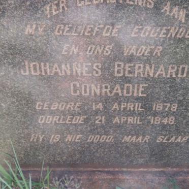 CONRADIE Johannes Bernardus 1878-1948