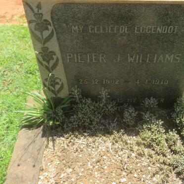 WILLIAMS Pieter J. 1902-1970