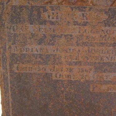 J - Vanne :: Surnames - J