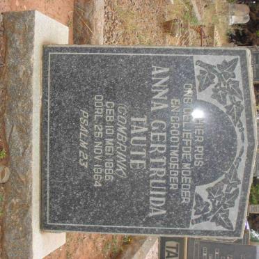 T - Vanne :: Surnames - T