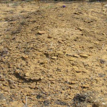 GROENEWALD Jeanetta Catharina nee ERASMUS