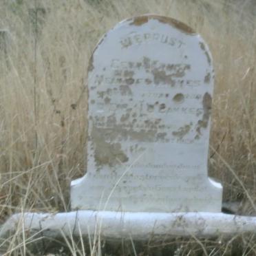 BAKKES Georg Ernst Neuhoff 1909-1920