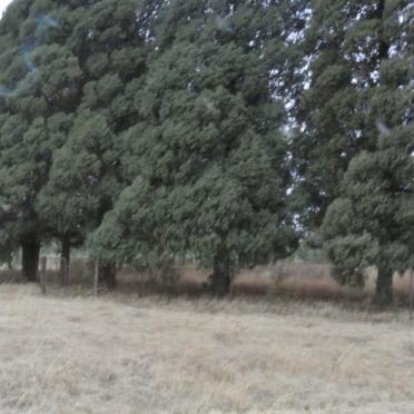 1. Overview / Oorsig