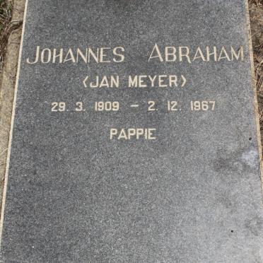 MEYER Johannes Abraham 1909-1967