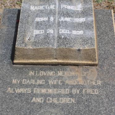 PRINGLE Marietjie 1920-1956