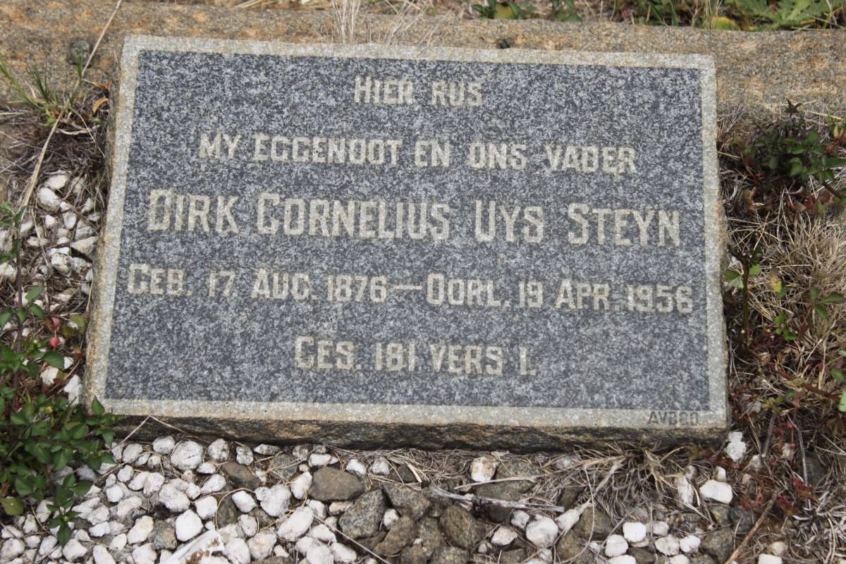 STEYN Dirk Cornelius Uys 1876-1956