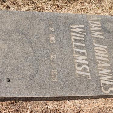 WILLEMSE Adam Johannes 1905-1978