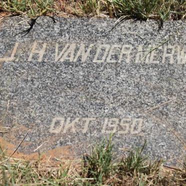 MERWE J.H., van der -1950